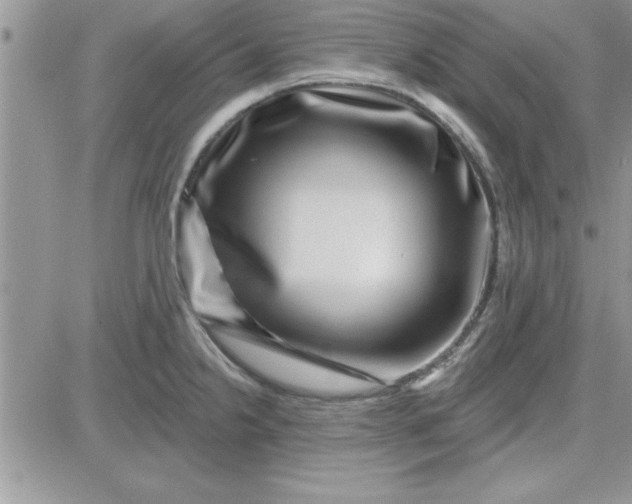 X0000081561238200701291141