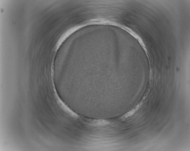 X0000081561239200701291141