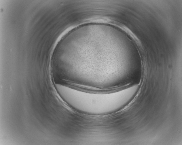 X0000081561240200701291141