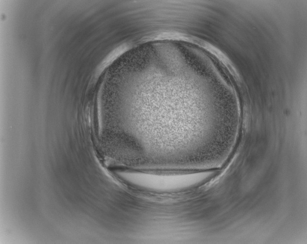 X0000081561241200701291141