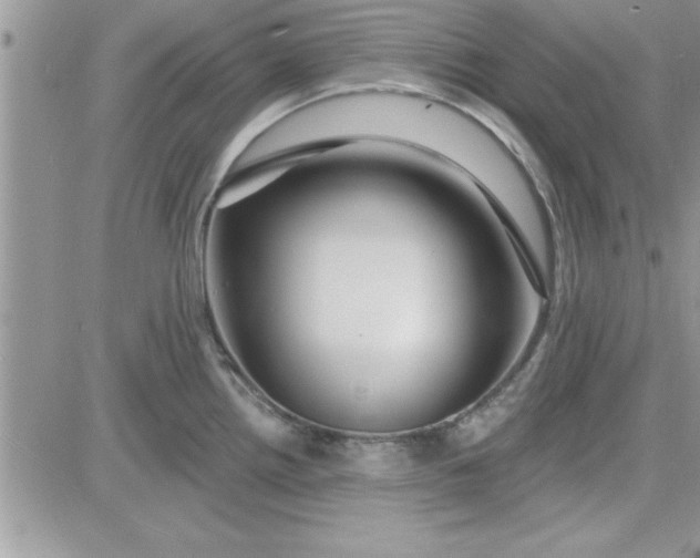 X0000081561242200701291141