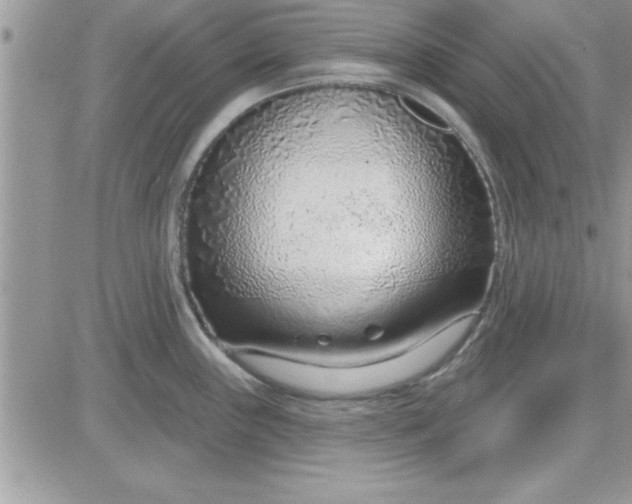 X0000081561243200701291141