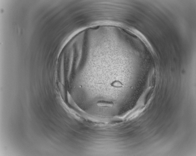 X0000081561244200701291142