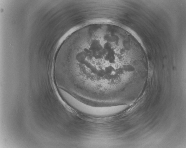 X0000081561245200701291142