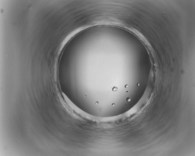 X0000081561246200701291142