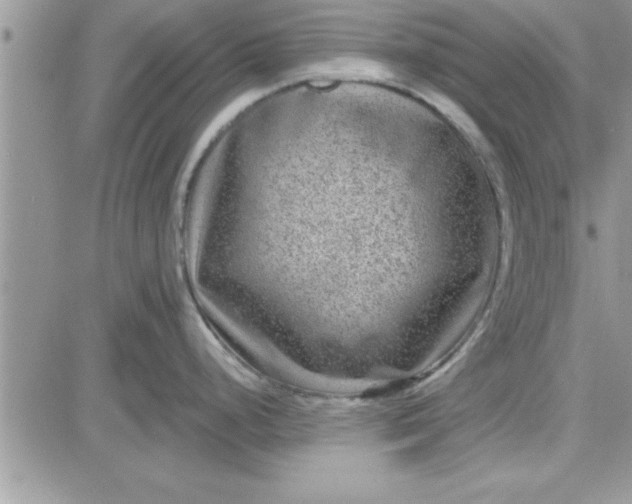 X0000081561248200701291142