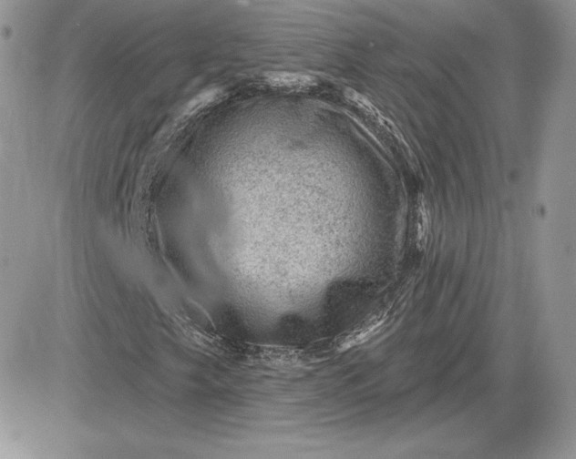 X0000081561249200701291141