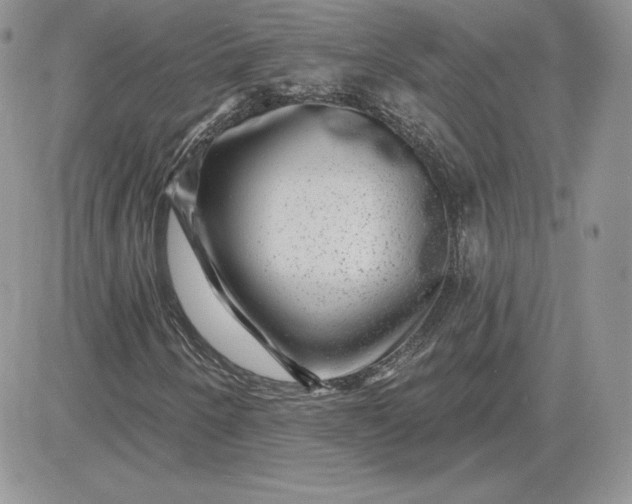 X0000081561250200701291141