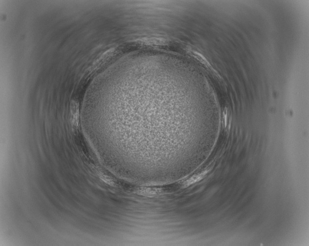 X0000081561251200701291141