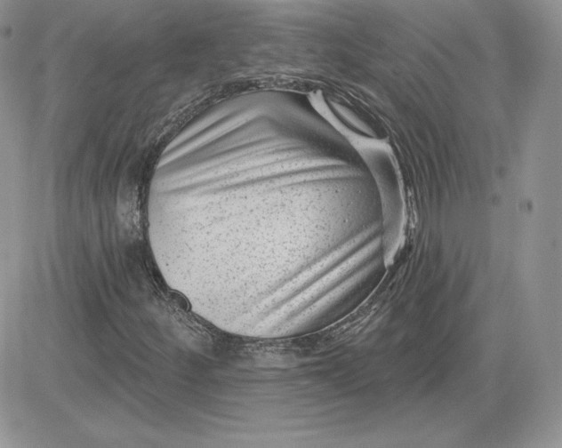 X0000081561252200701291141