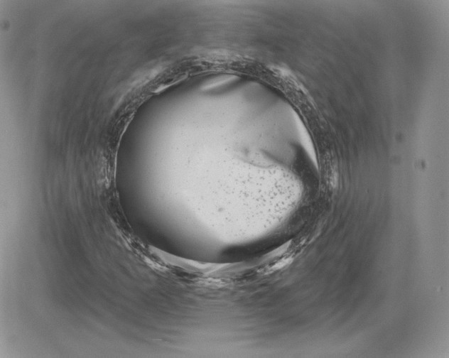 X0000081561253200701291141