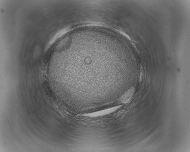 X0000081561255200701291141