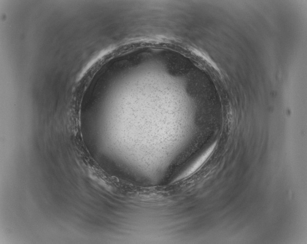 X0000081561256200701291141