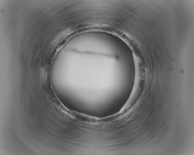 X0000081561257200701291141