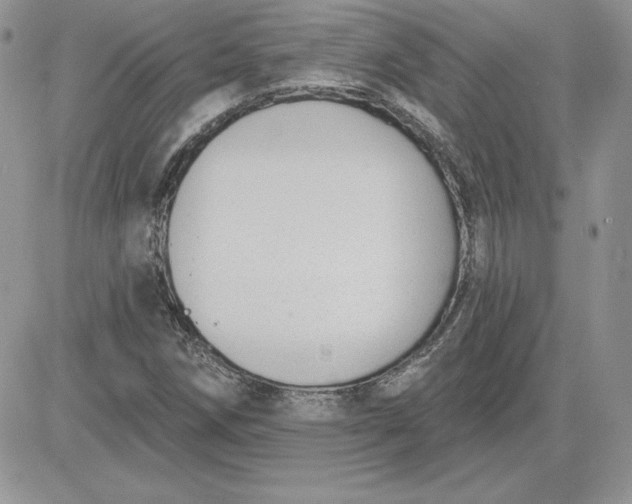 X0000081561258200701291141