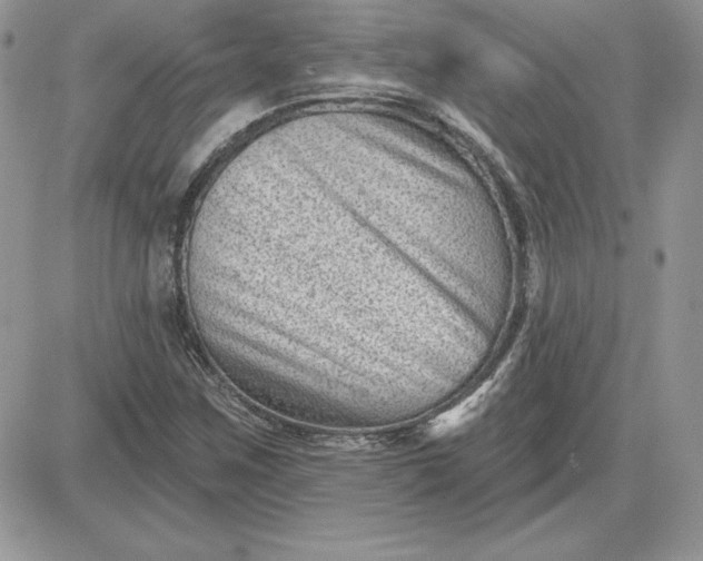 X0000081561259200701291141