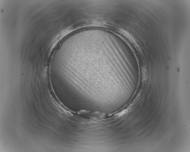 X0000081561260200701291141