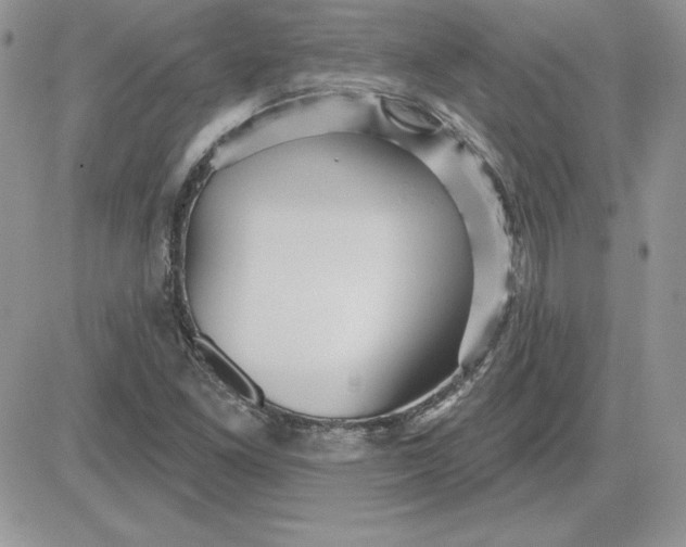 X0000081561261200701291141