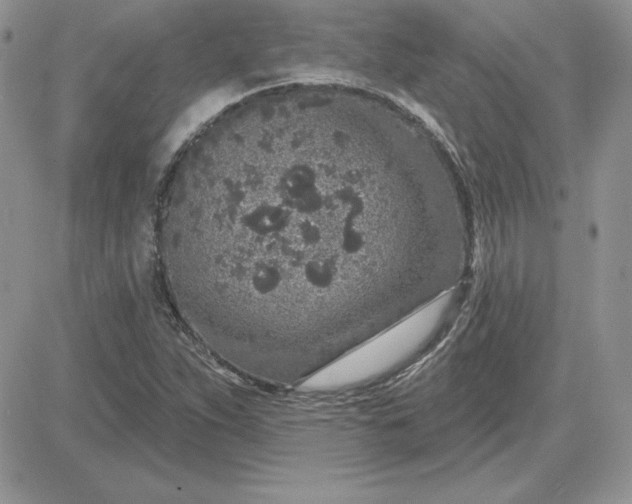 X0000081561263200701291141