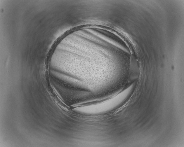 X0000081561264200701291141