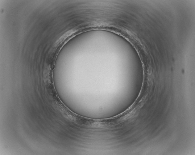 X0000081561265200701291141