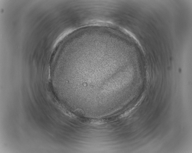 X0000081561267200701291141