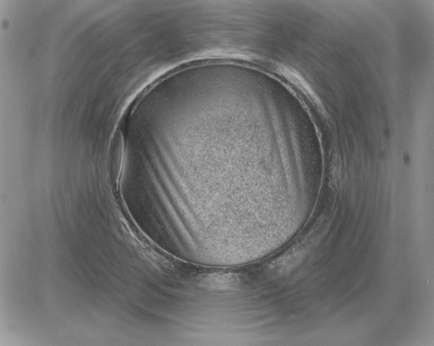 X0000081561268200701291140