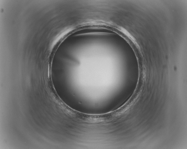 X0000081561269200701291140