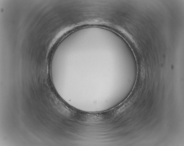 X0000081561270200701291140