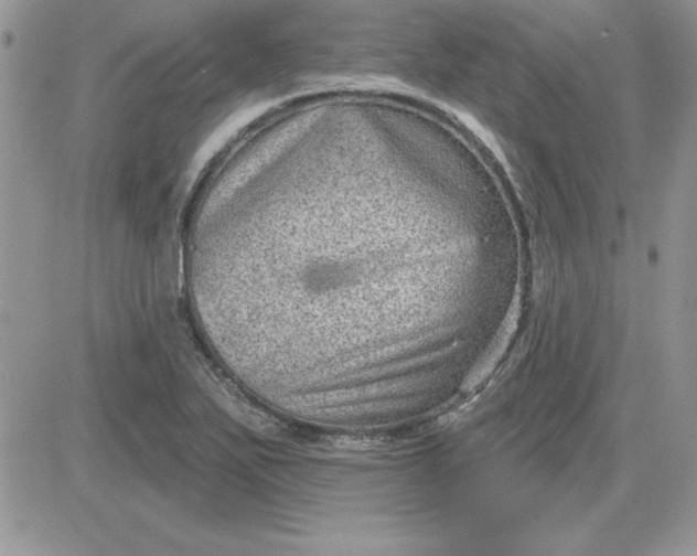 X0000081561271200701291140