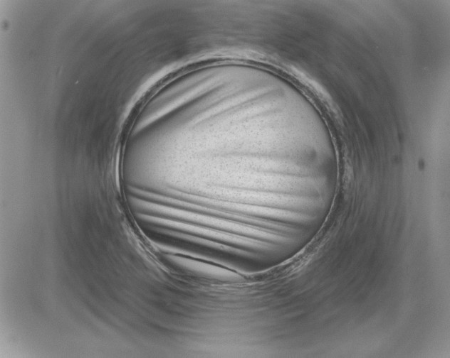 X0000081561272200701291140