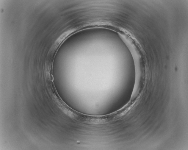 X0000081561273200701291140