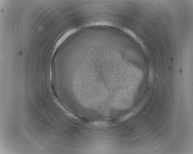 X0000081561274200701291140