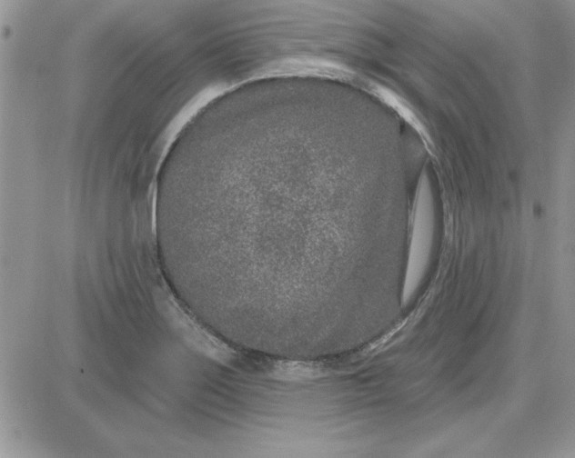 X0000081561275200701291140