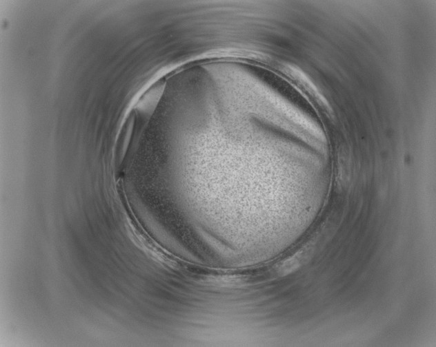 X0000081561276200701291140