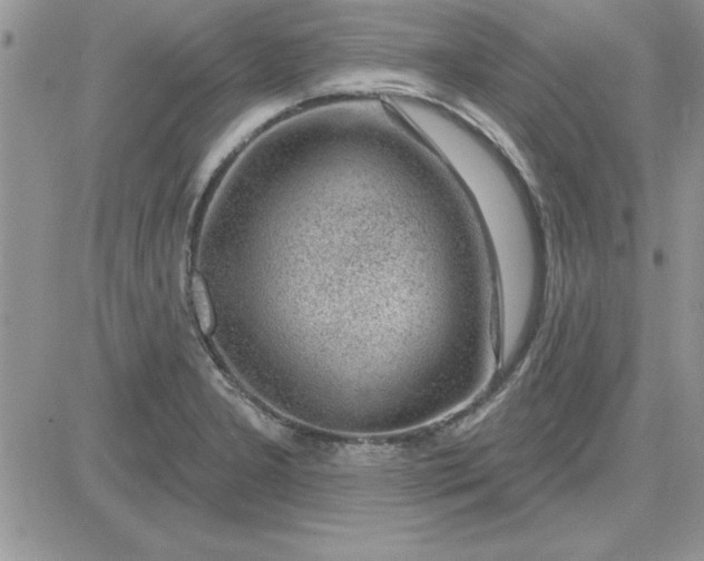 X0000081561277200701291140