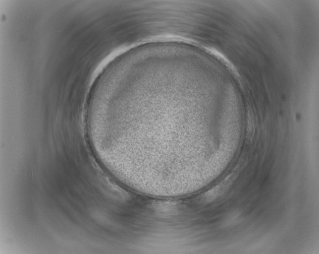 X0000081561278200701291140