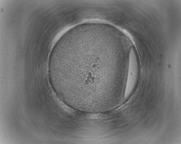 X0000081561279200701291140