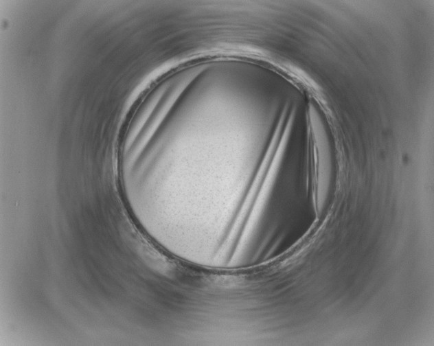 X0000081561280200701291140