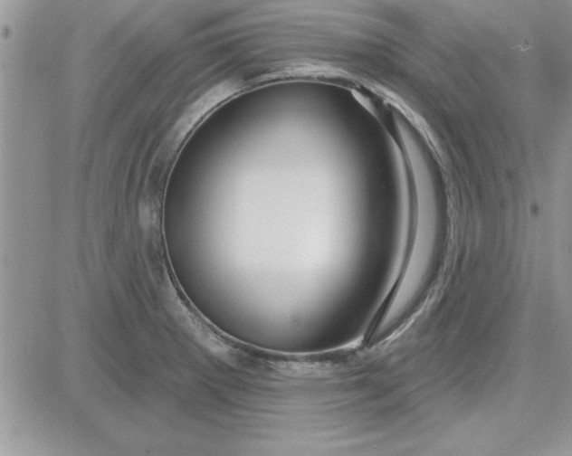 X0000081561281200701291140