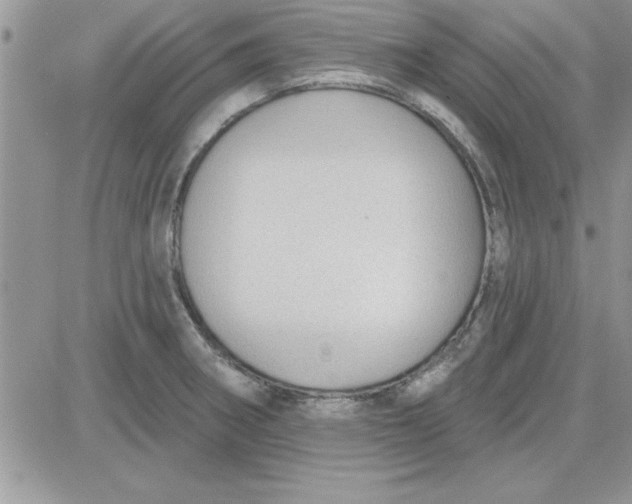 X0000081561282200701291140