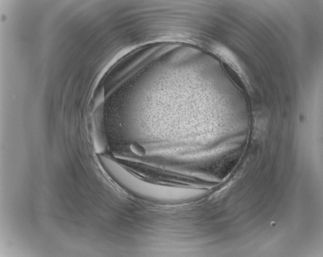 X0000081561284200701291140