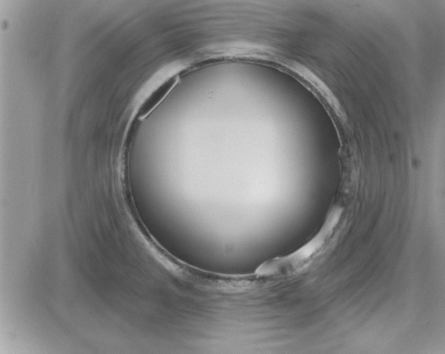 X0000081561285200701291140