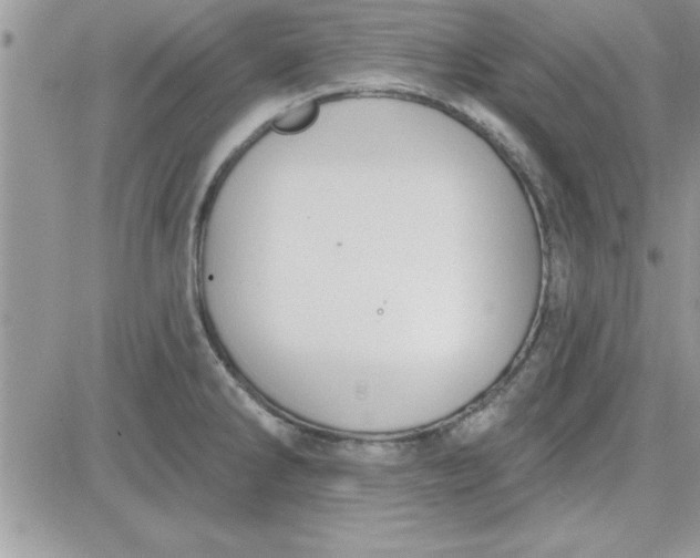 X0000081561286200701291140