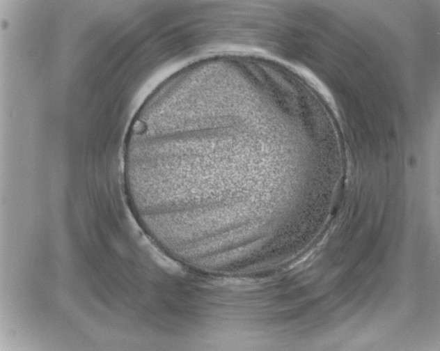 X0000081561287200701291140