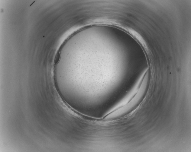 X0000081561288200701291140