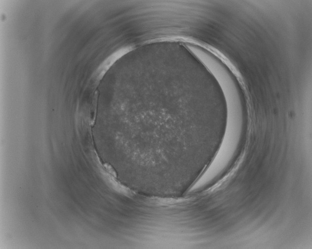 X0000081561289200701291140