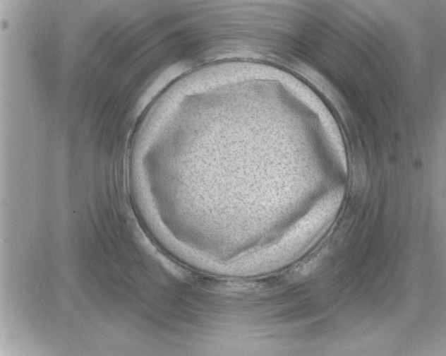 X0000081561290200701291140