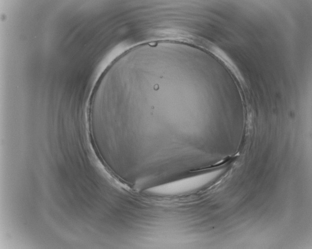 X0000081561291200701291140