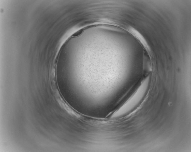 X0000081561292200701291140